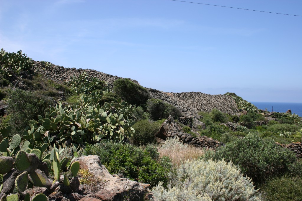 Pantelleria - Siicilia- mura preistoriche di contrada Mursia