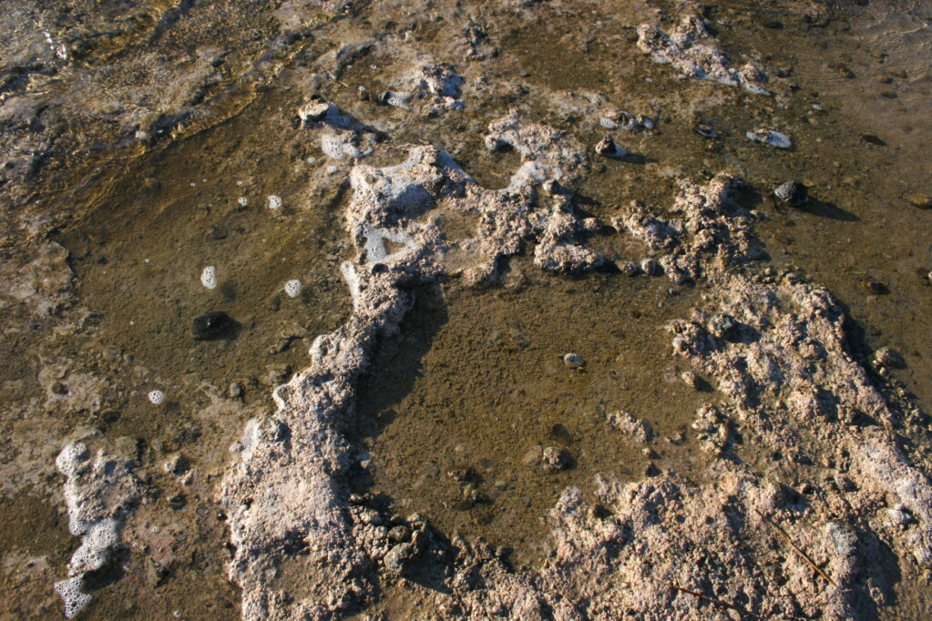 stromatoliti a Pantelleria